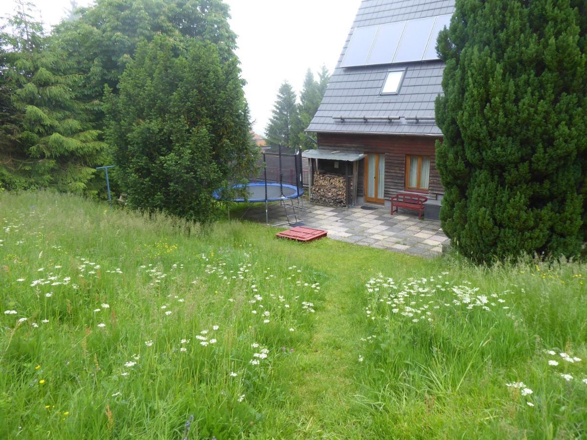 Haus Bergwiese - Fuer Naturfreunde, Familien, Wanderer Gehlberg Exterior foto
